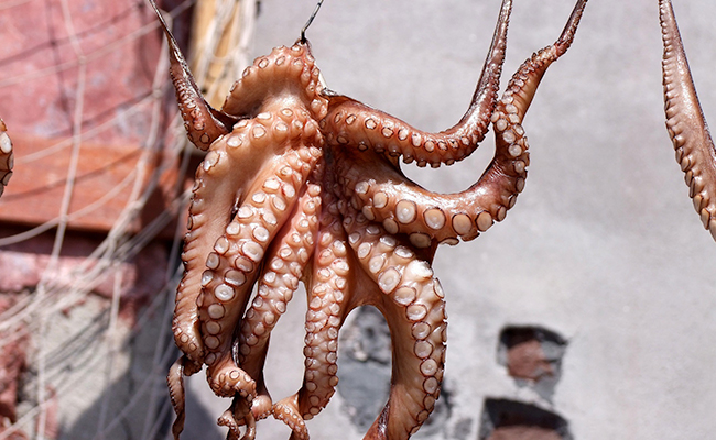 about-Tinos-sea-food