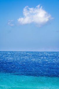 TLuntitled 20170801 00039 new