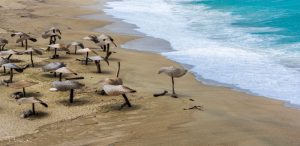 TLuntitled 20170801 00043 new