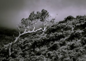 TLuntitled 20180729 00062 new