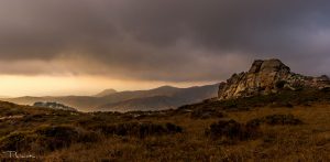 TLuntitled 20180801 00064 new