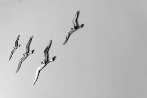 Villa Asterias level 1